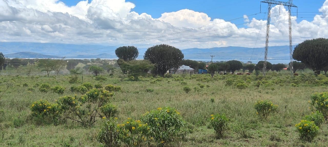 Bliss Water Park Naivasha